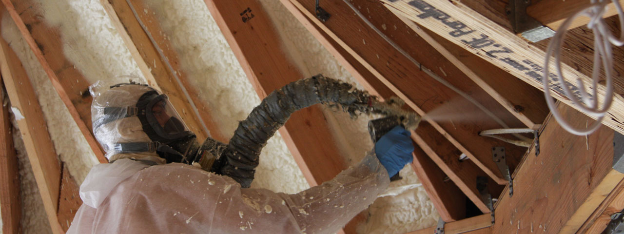 Independence Missouri Attic Insulation Spray Foam